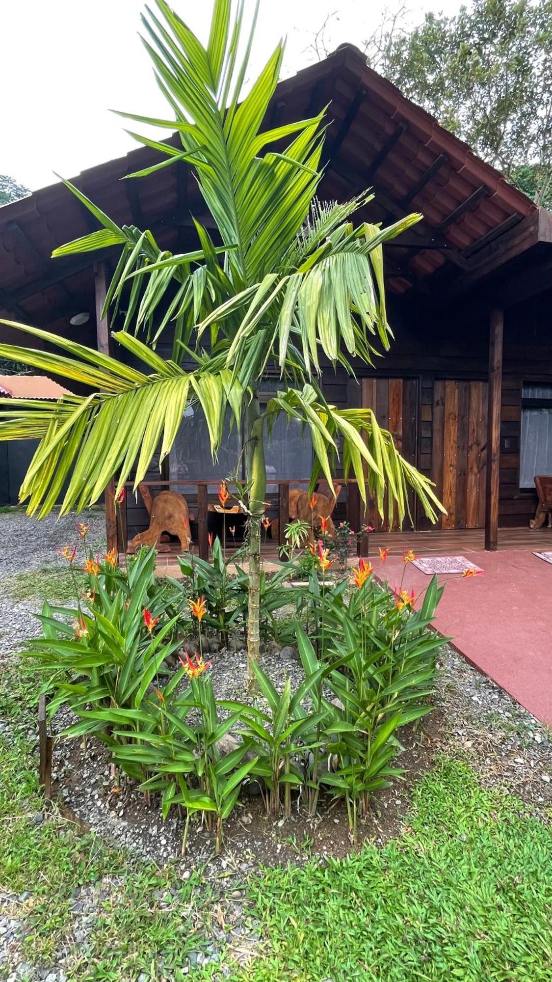 La Fortuna Waterfall Bungalows エクステリア 写真